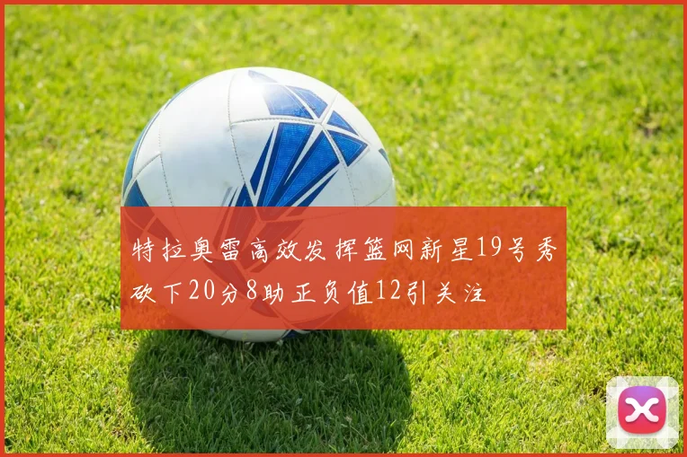 特拉奥雷高效发挥篮网新星19号秀砍下20分8助正负值12引关注