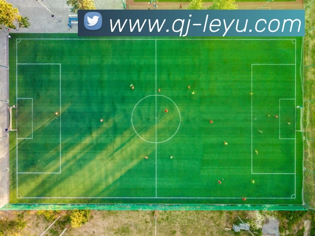 乐鱼体育平台生态图